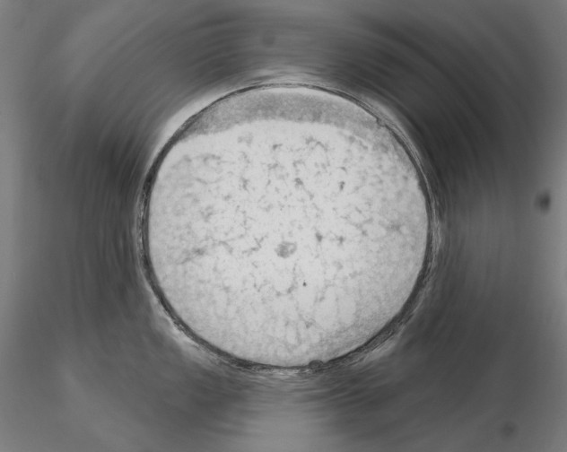 X0000114631149200912011019