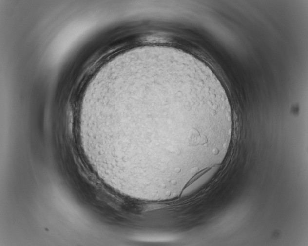 X0000114631151200912011019