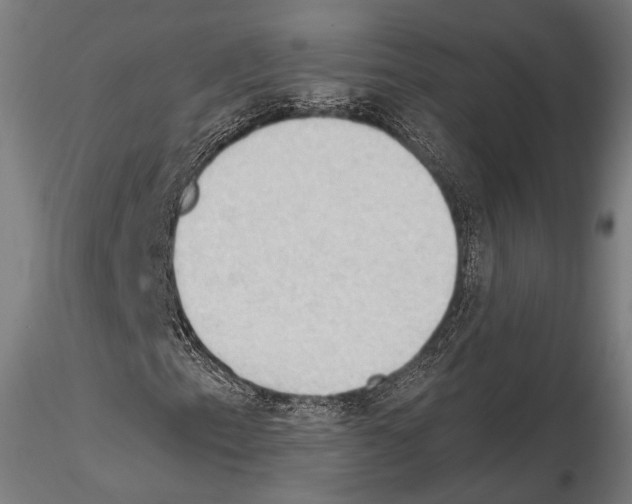 X0000114631153200912011018