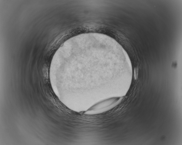 X0000114631155200912011018