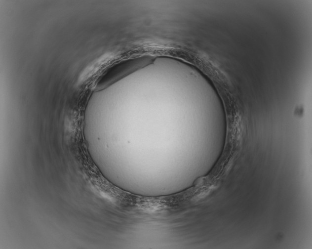 X0000114631157200912011018