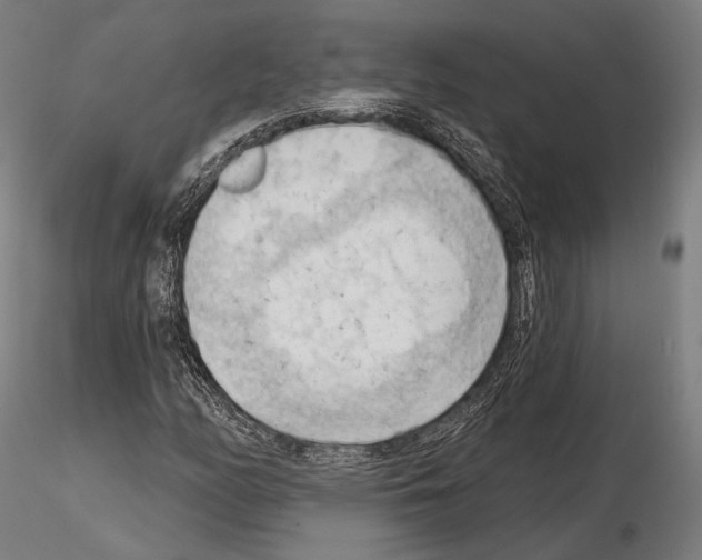 X0000114631158200912011018