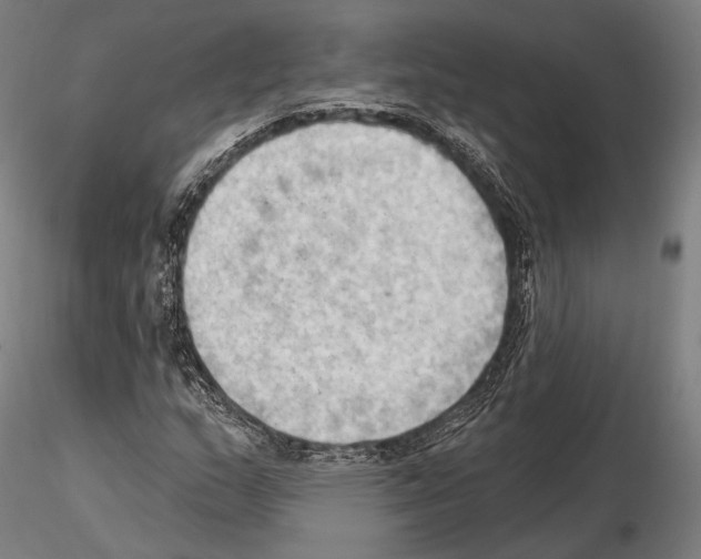 X0000114631159200912011018