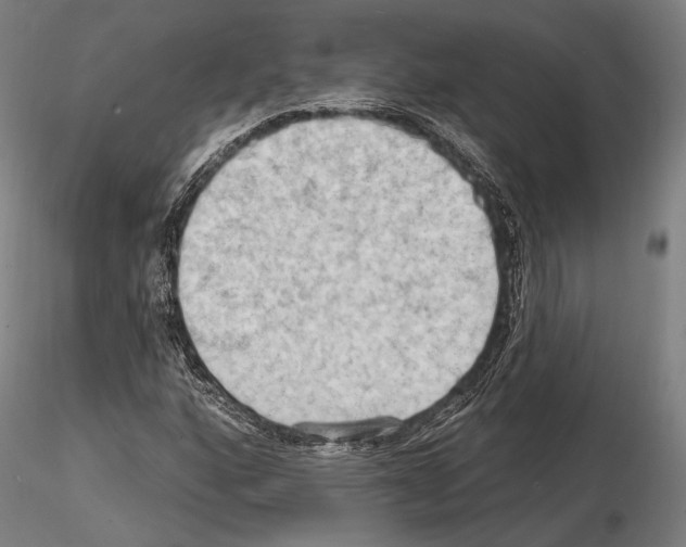 X0000114631160200912011018