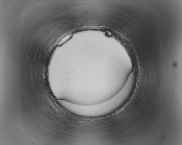 X0000114631161200912011018