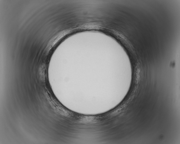 X0000114631162200912011018