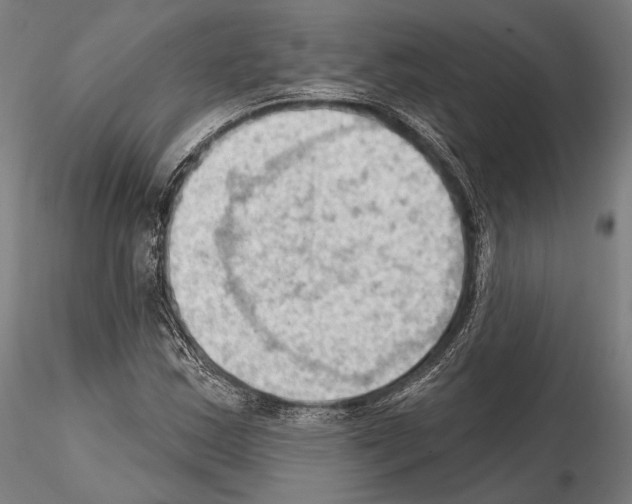 X0000114631163200912011018