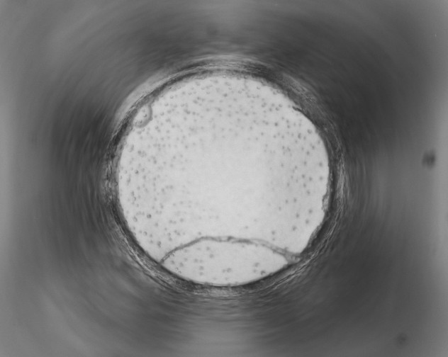 X0000114631164200912011018