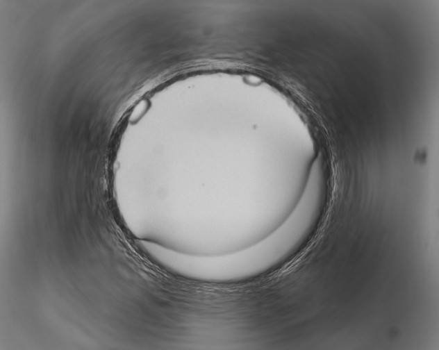 X0000114631165200912011018