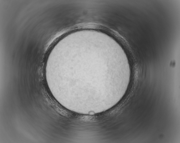 X0000114631166200912011018