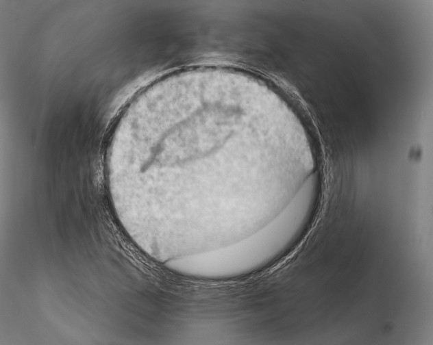 X0000114631167200912011018