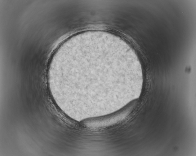 X0000114631168200912011018