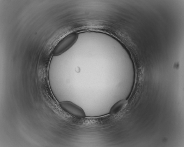 X0000114631169200912011018