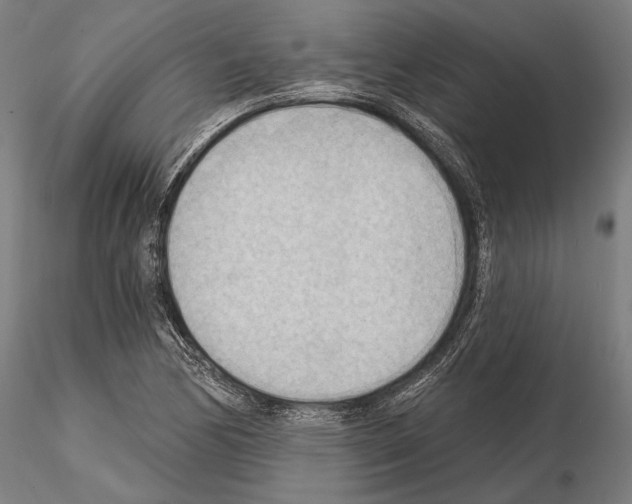 X0000114631170200912011018