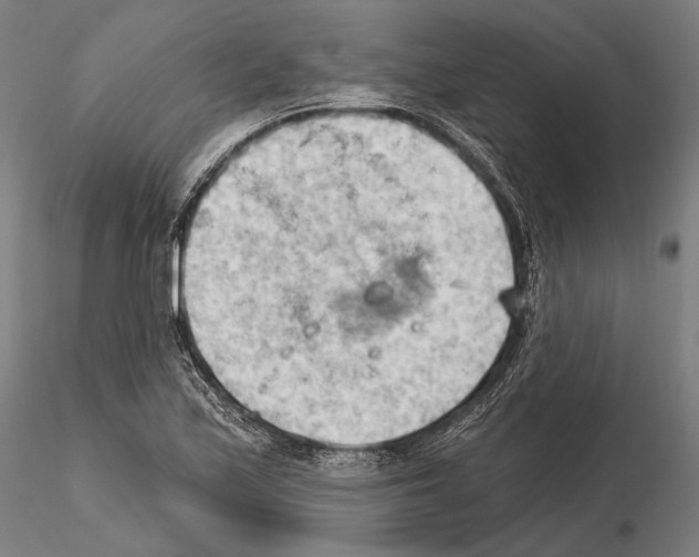 X0000114631171200912011018