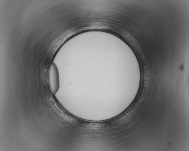 X0000114631177200912011018