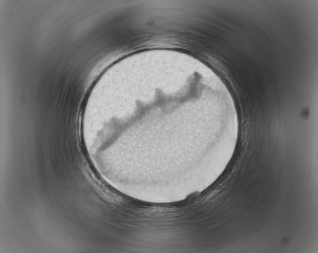 X0000114631179200912011018