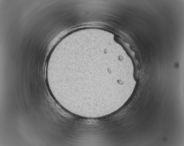 X0000114631180200912011018