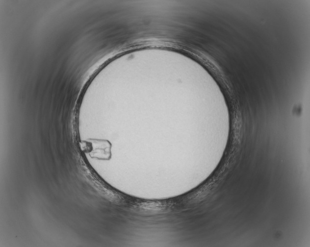 X0000114631182200912011018