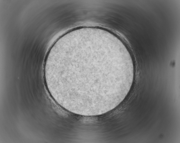 X0000114631183200912011018