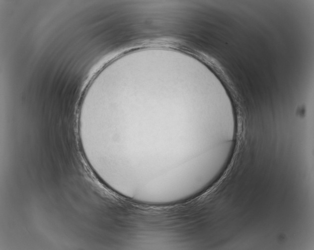 X0000114631184200912011018