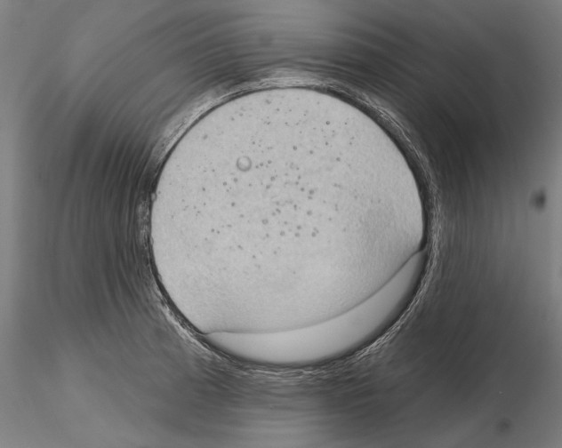 X0000114631185200912011018