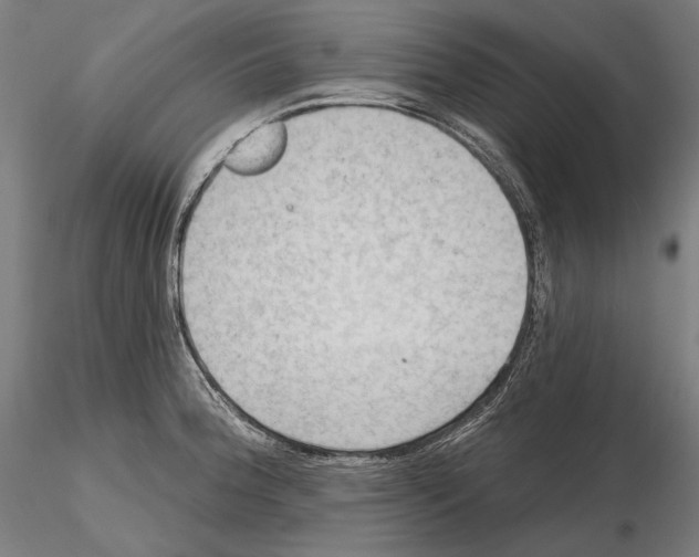 X0000114631188200912011018