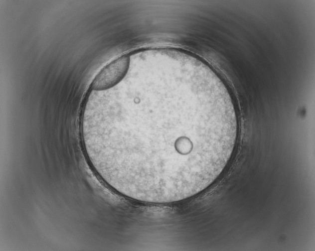 X0000114631189200912011018