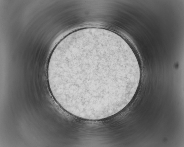 X0000114631192200912011018