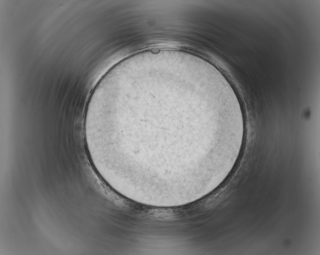 X0000114631194200912011017