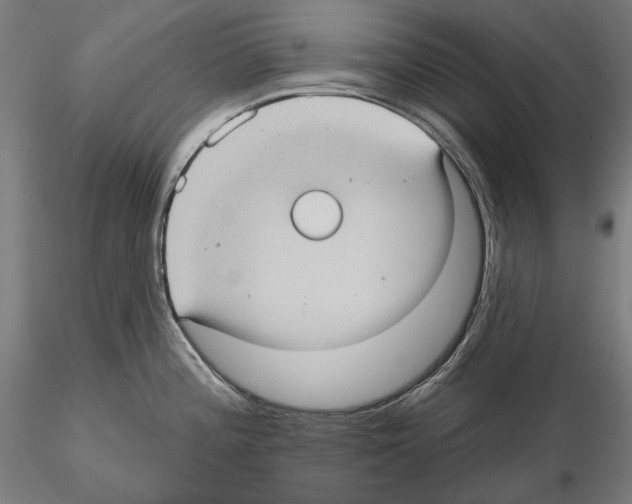 X0000114631196200912011017