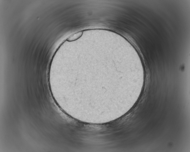 X0000114631197200912011017