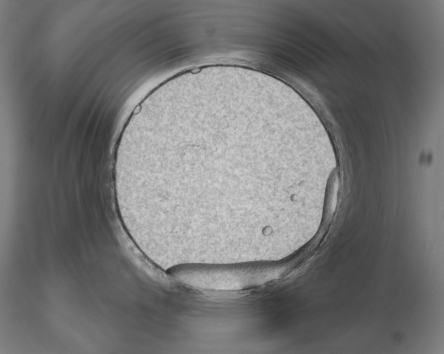 X0000114631200200912011017