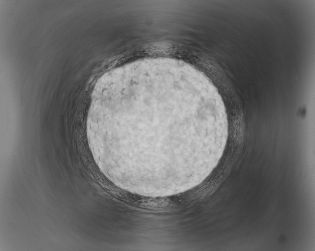 X0000114631201200912011017