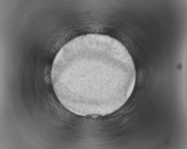 X0000114631202200912011017