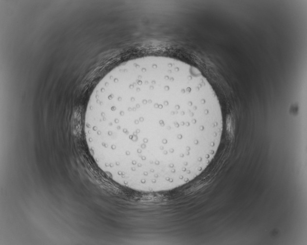 X0000114631203200912011017