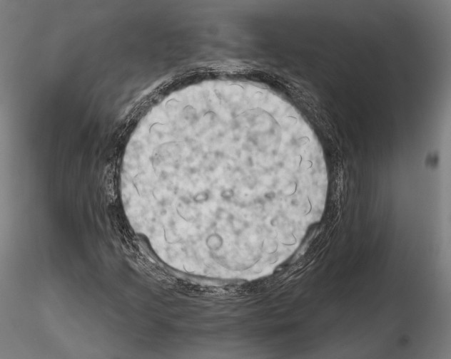 X0000114631205200912011017