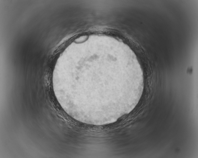 X0000114631206200912011017