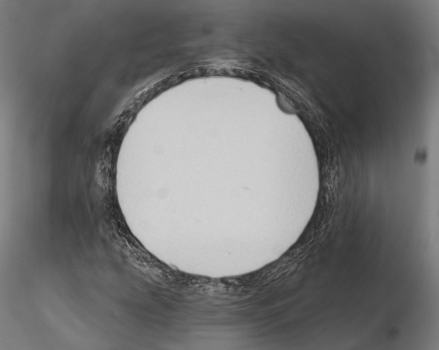 X0000114631207200912011017