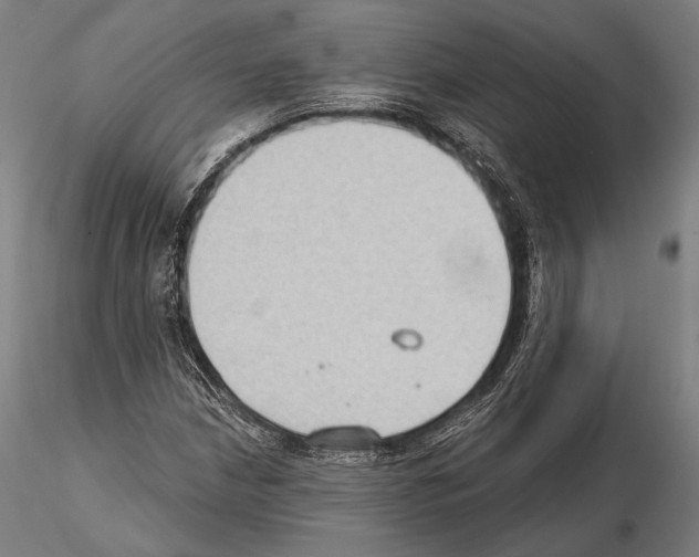 X0000114631210200912011017