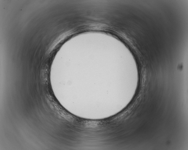 X0000114631211200912011017