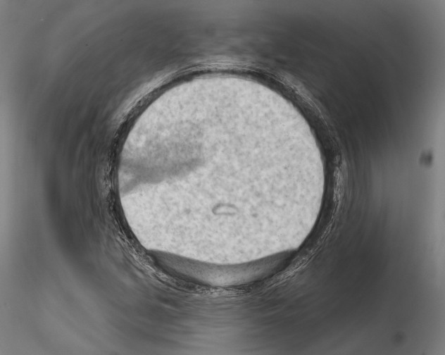 X0000114631213200912011017