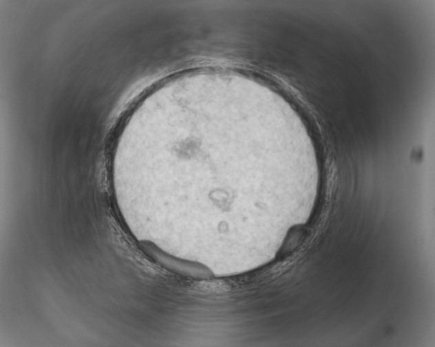 X0000114631215200912011017