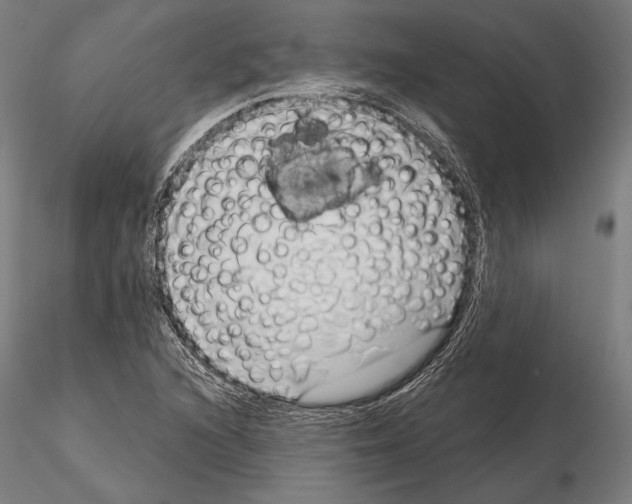 X0000114631216200912011017