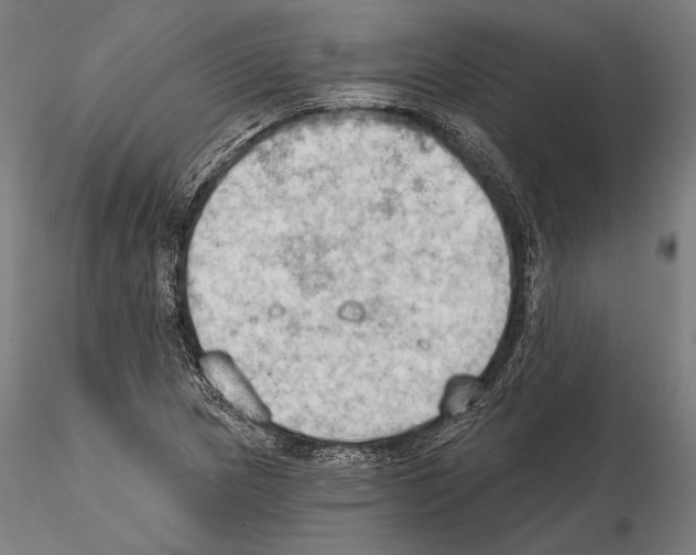 X0000114631217200912011017