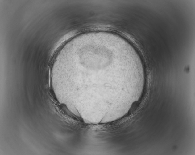 X0000114631219200912011017