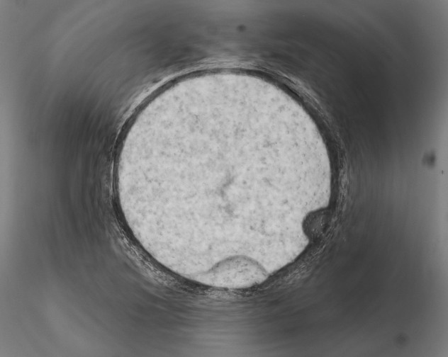 X0000114631220200912011017