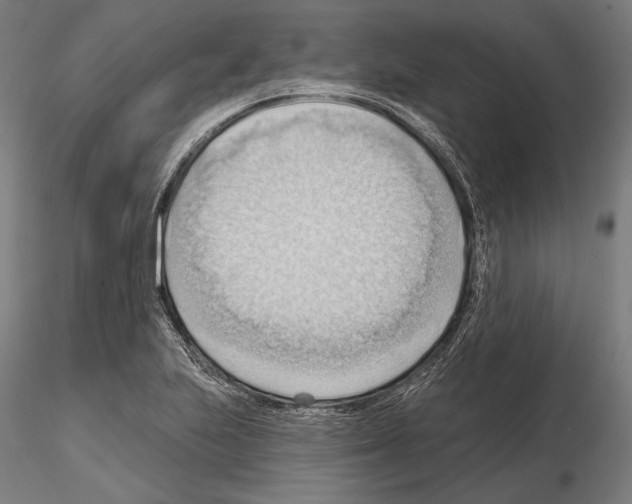 X0000114631223200912011017