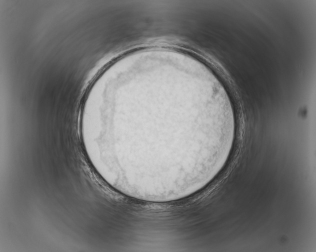 X0000114631224200912011017