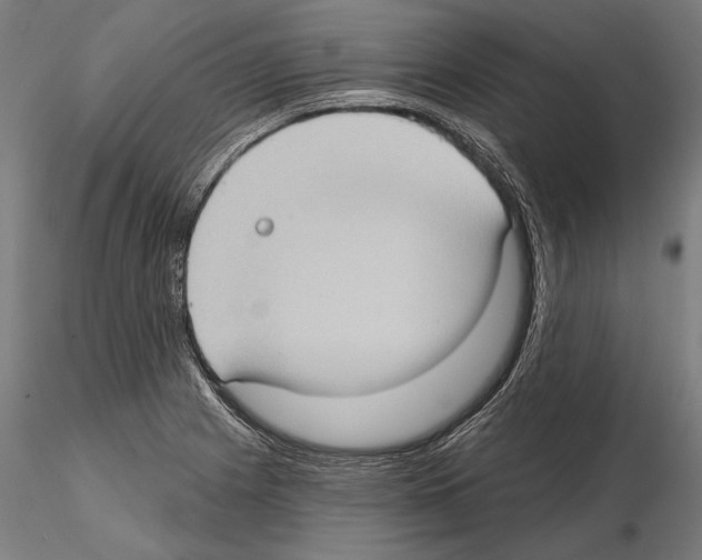 X0000114631225200912011017